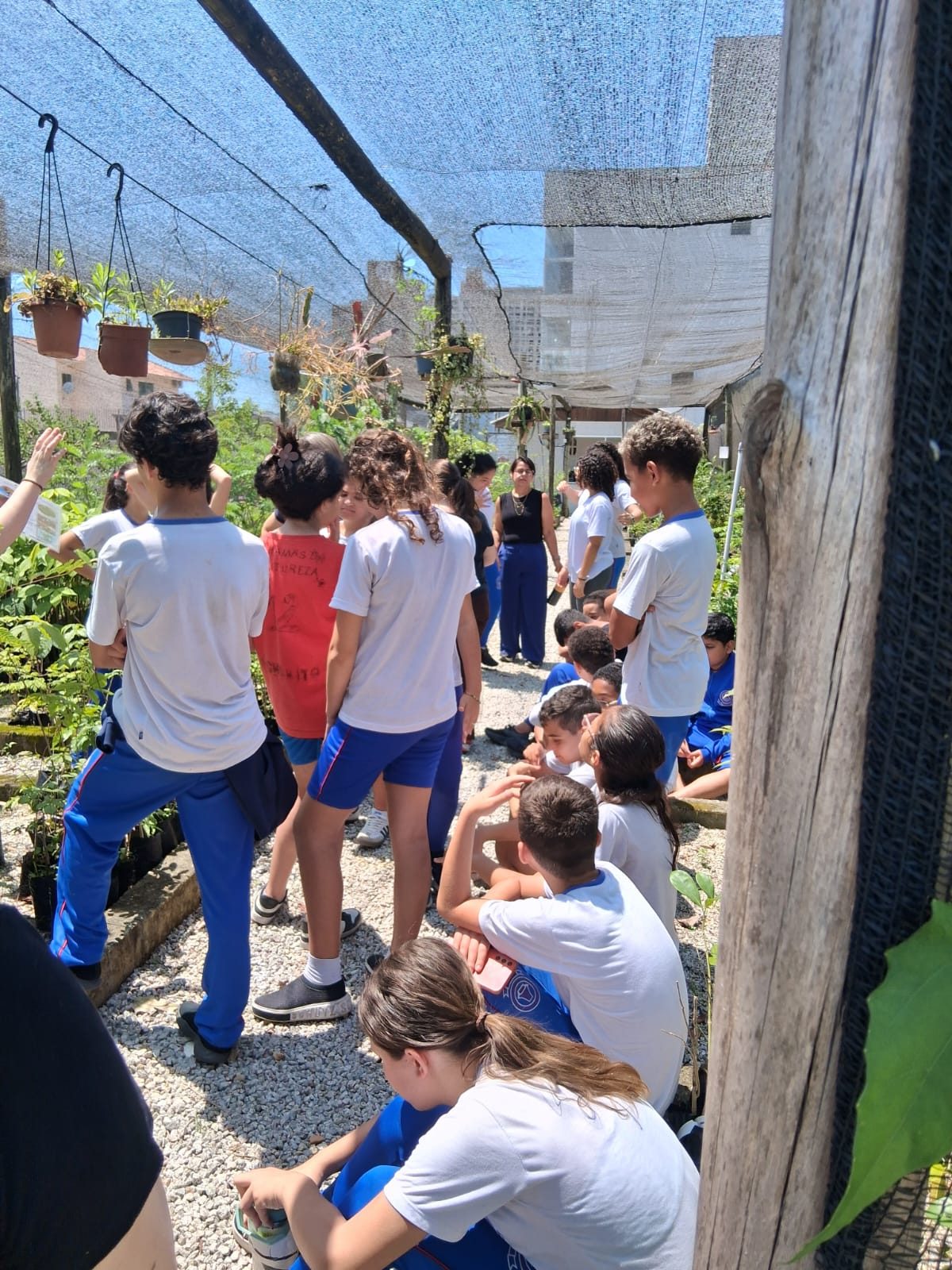 Crianças de escola pública em visita ao Horto Municipal de Biguaçu