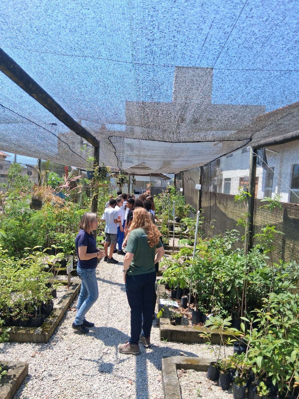 Produção de mudas nativas e frutíferas no horto adotado pela Moinho