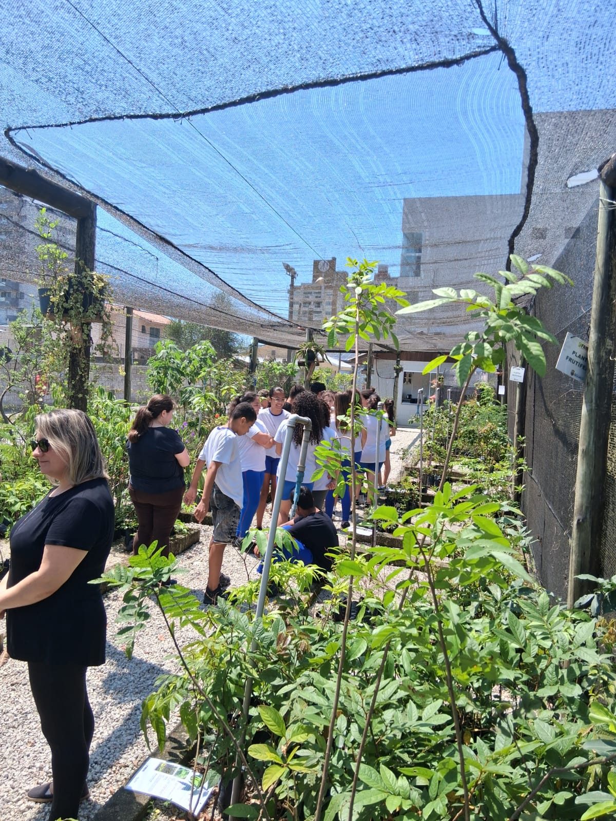 Turma acompanhada pela equipe da Moinho no horto de mudas